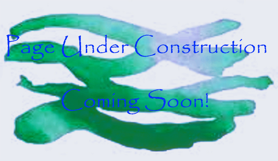 new_page_under_construction