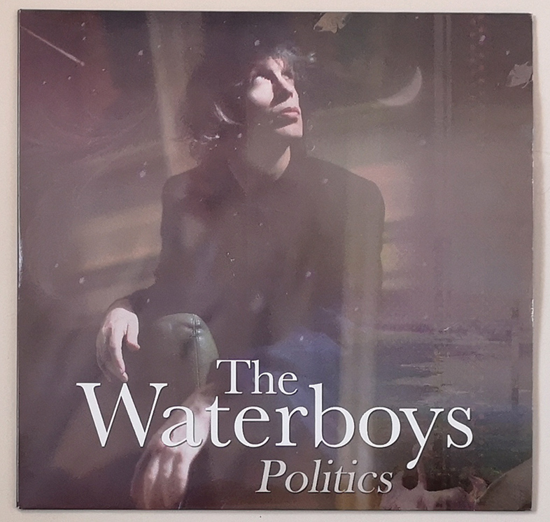 wbs_politics_vinyl_cover